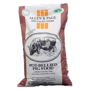 Allen & Page Pot-Bellied Pig Pencils